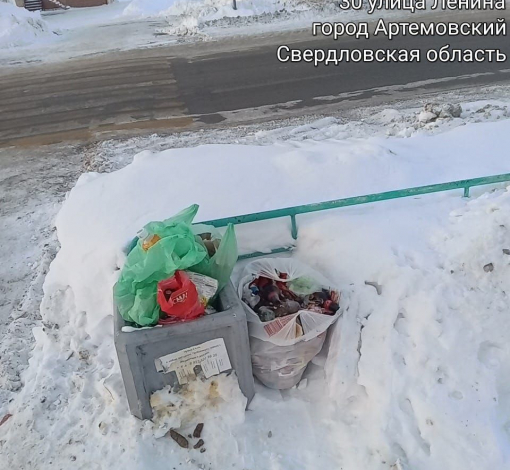 Выносить бытовой мусор в городские урны для некоторых жителей это норма, а жить в чистоте хотят все.